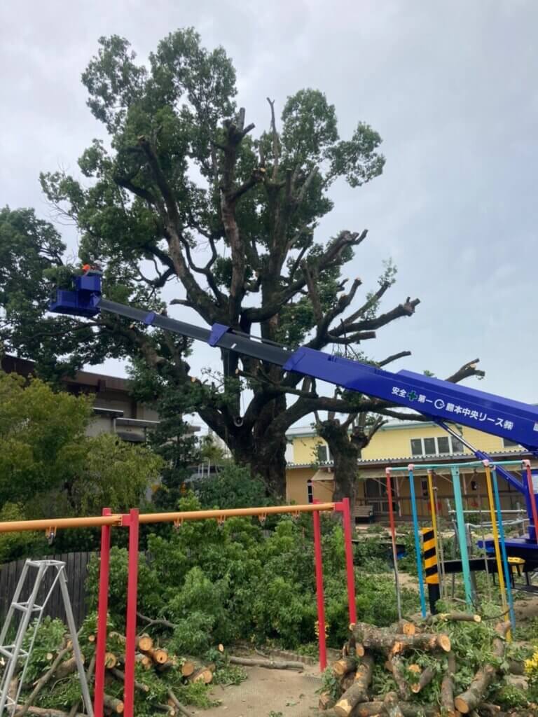 高所作業車が届く範囲は作業車で、届かない所はクライマーが登り作業を進めていきます